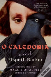 Capa do artigo O Caledonia