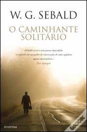 Capa do artigo O Caminhante Solitário