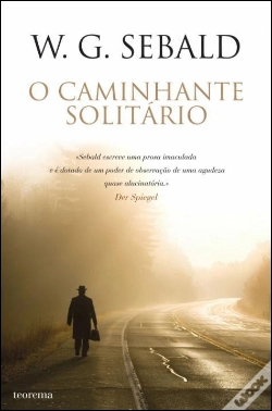 Capa do artigo O Caminhante Solitário