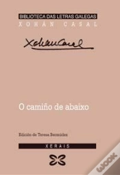 Capa do artigo O Camiño De Abaixo