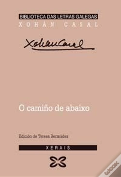 Capa do artigo O Camiño De Abaixo