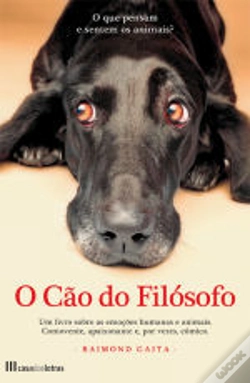 Capa do artigo O Cão do Filósofo