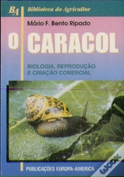 Capa do artigo O Caracol