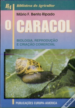 Capa do artigo O Caracol
