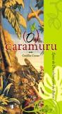 O Caramuru - Preview