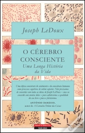 Capa do artigo O Cérebro Consciente