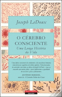Capa do artigo O Cérebro Consciente