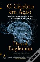 O Cérebro em Ação