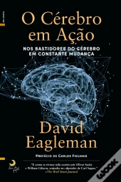 O Cérebro em Ação