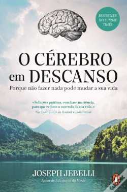 Capa do artigo O Cérebro em Descanso