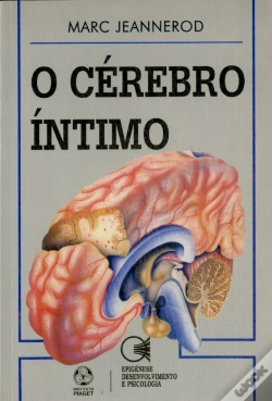 Capa do artigo O Cérebro Íntimo