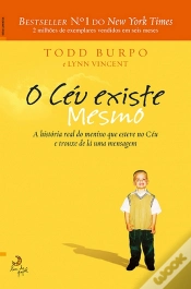 Capa do artigo O Céu Existe Mesmo