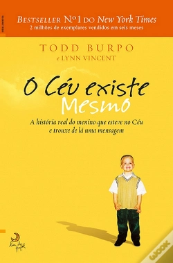 Capa do artigo O Céu Existe Mesmo