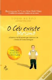 Capa do artigo O Céu Existe Mesmo