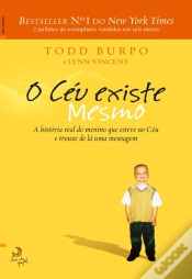 Capa do artigo O Céu Existe Mesmo