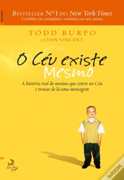 Capa do artigo O Céu Existe Mesmo