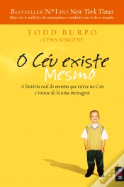 Capa do artigo O Céu Existe Mesmo
