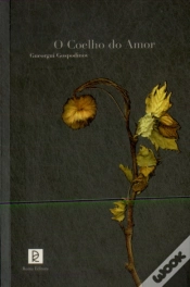Capa do artigo O Coelho do Amor