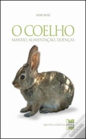 Capa do artigo O Coelho