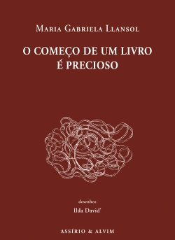 Capa do artigo O Começo de Um Livro É Precioso