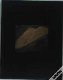 O Comum da Terra
