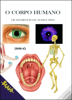 Capa do artigo O Corpo Humano