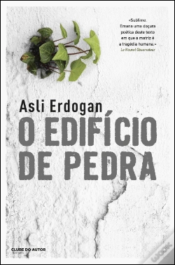 Capa do artigo O Edifício de Pedra