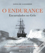 Capa do artigo O Endurance
