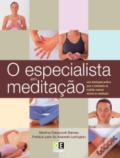 Capa do artigo O Especialista em Meditação
