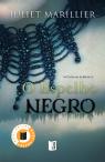 O Espelho Negro - As Crónicas de Bridei Volume I