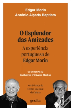 Capa do artigo O Esplendor das Amizades