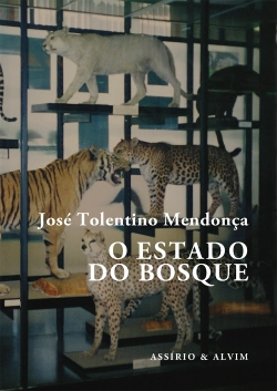 Capa do artigo O Estado do Bosque