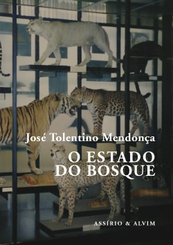 Capa do artigo O Estado do Bosque