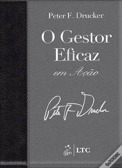 Capa do artigo O Gestor Eficaz