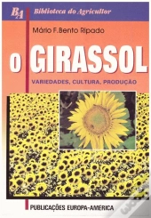 O Girassol