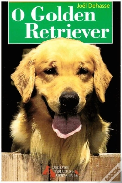 Capa do artigo O Golden Retriever