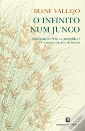 Capa do artigo O Infinito num Junco