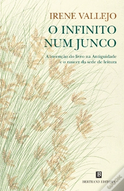 Capa do artigo O Infinito num Junco