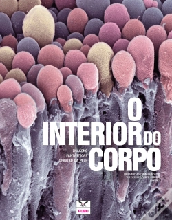 Capa do artigo O Interior do Corpo