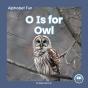 O Is For Owl - Preview