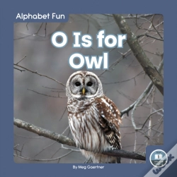 Capa do artigo O Is For Owl