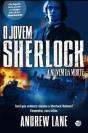 O Jovem Sherlock Holmes N.º 1 - Preview