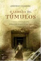 O Ladrão de Túmulos