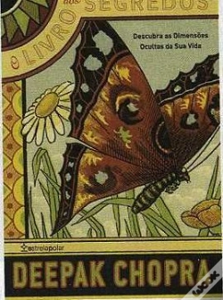 Capa do artigo O Livro dos Segredos