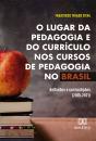 O Lugar Da Pedagogia E Do Currículo Nos Cursos De Pedagogia No Brasil - Preview