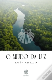 Capa do artigo O miúdo da luz
