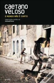 Capa do artigo O Mundo Não é Chato