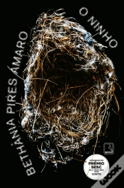 Capa do artigo O Ninho