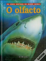 O Olfacto