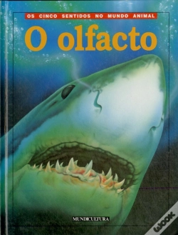 Capa do artigo O Olfacto